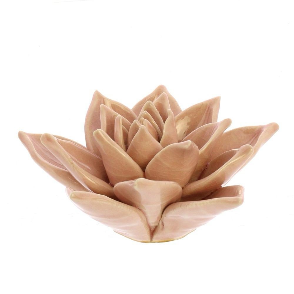 Nordstrom Ceramic Succulents - Picture 7 of 9